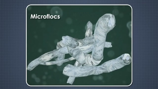 DAF System Chemicals and Chemistry