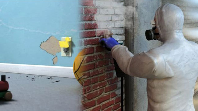 Lead-Based Paint Safety