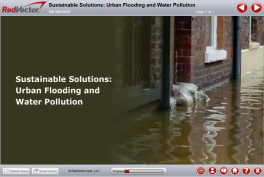 Sustainable Solutions: Urban Flooding and Water Pollution 