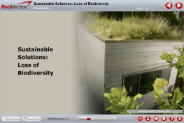 Sustainable Solutions: Loss of Biodiversity 