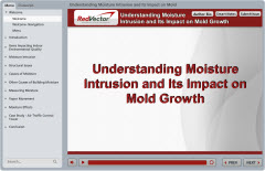 Understanding Moisture Intrusion and Its Impact on Mold Growth
