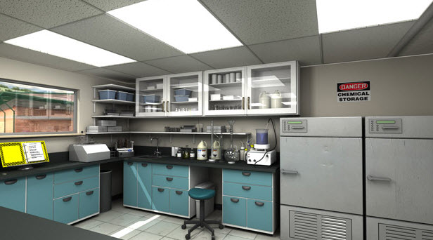 Globally Harmonized System of Classification and Labeling of Chemicals