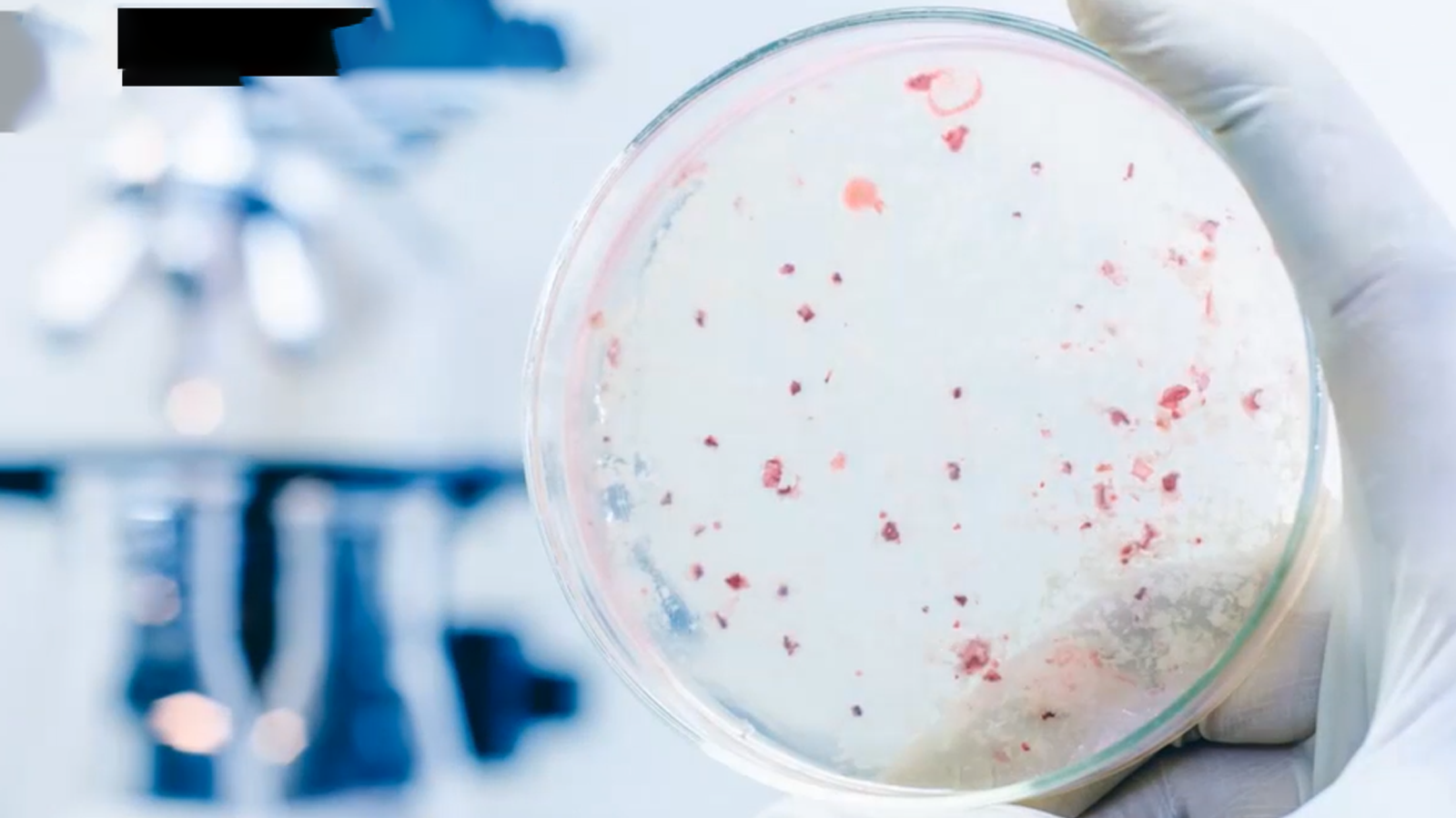 Legionella Prevention and Control - Global